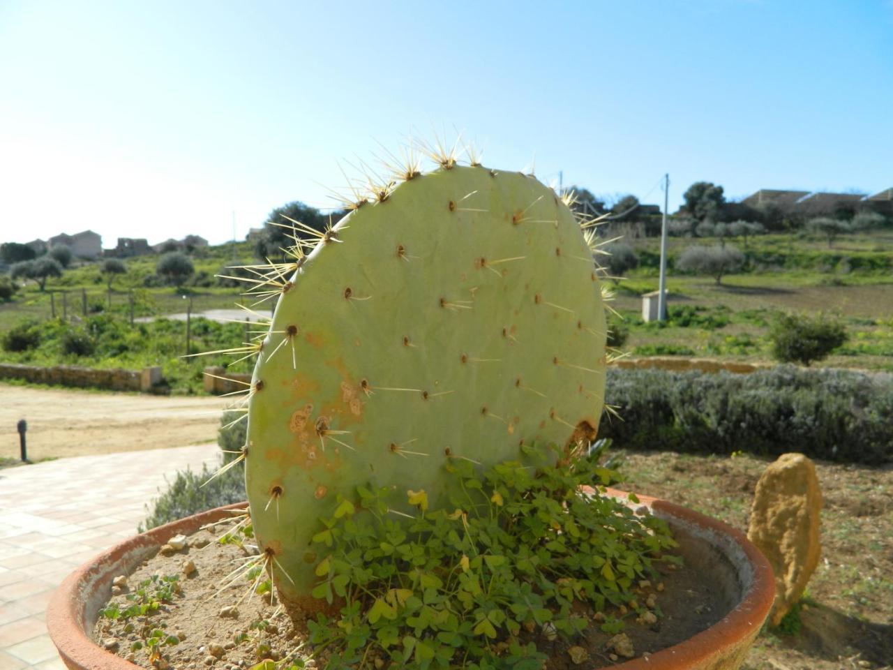 Agriturismo Passo Dei Briganti Agrigento